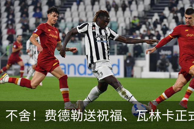 不舍！费德勒送祝福、瓦林卡正式退役