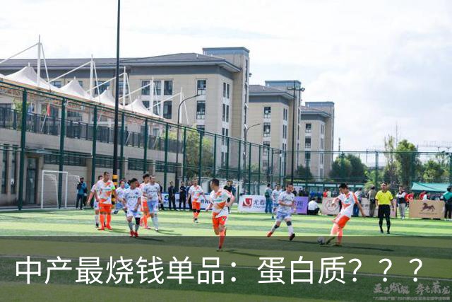 中产最烧钱单品：蛋白质？？？