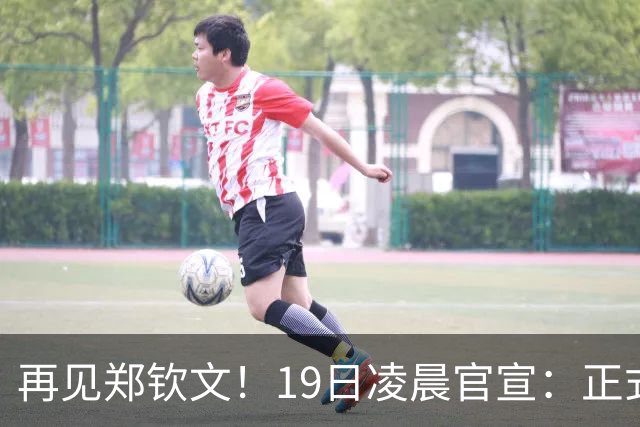 再见郑钦文！19日凌晨官宣：正式退出 赛季提前结束，孙心然入围