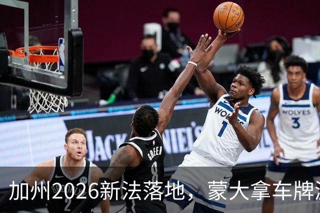 加州2026新法落地，蒙大拿车牌漏洞还能钻吗？