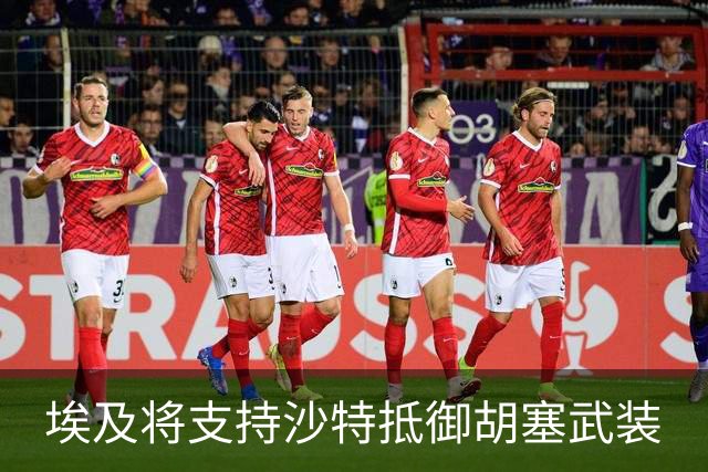 埃及将支持沙特抵御胡塞武装