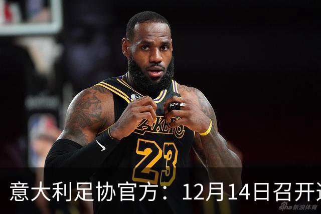 意大利足协官方：12月14日召开选举大会，会上将选出足协主席