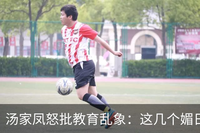汤家凤怒批教育乱象：这几个媚日的高校教授，为何能拿高额退休金