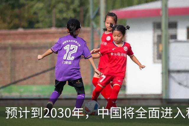 预计到2030年，中国将全面进入租房时代，房子会越来越难卖