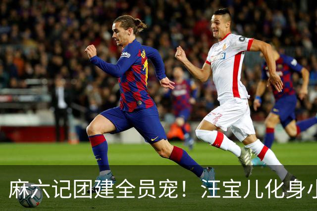 麻六记团建全员宠！汪宝儿化身小团宠，对着镜头卖萌太治愈