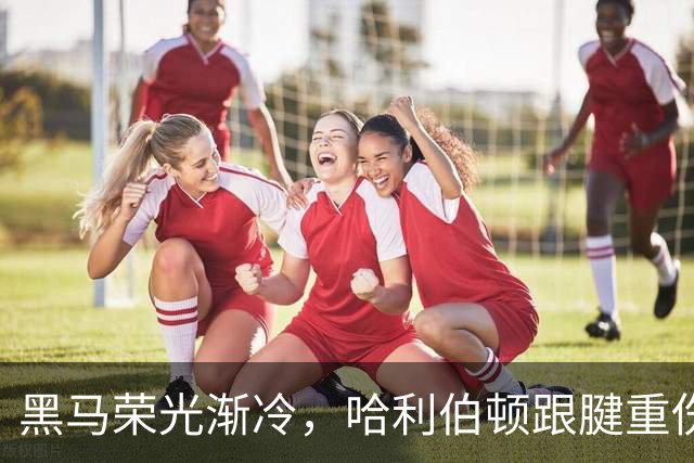 黑马荣光渐冷，哈利伯顿跟腱重伤归来重新出发