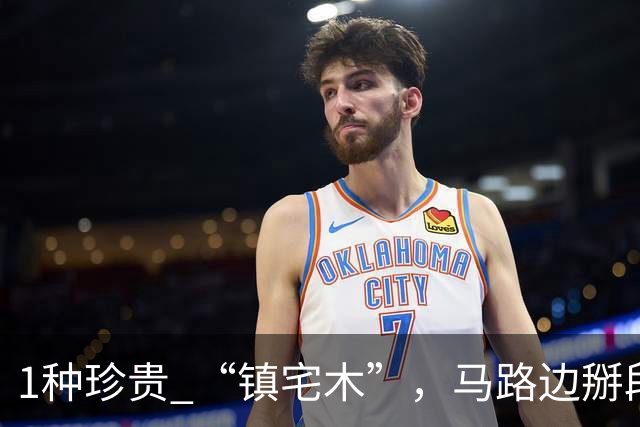 1种珍贵 “镇宅木”，马路边掰段枝 “扦插”，养上2～3年做个造型