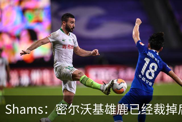 Shams：密尔沃基雄鹿已经裁掉后卫小凯文·波特！